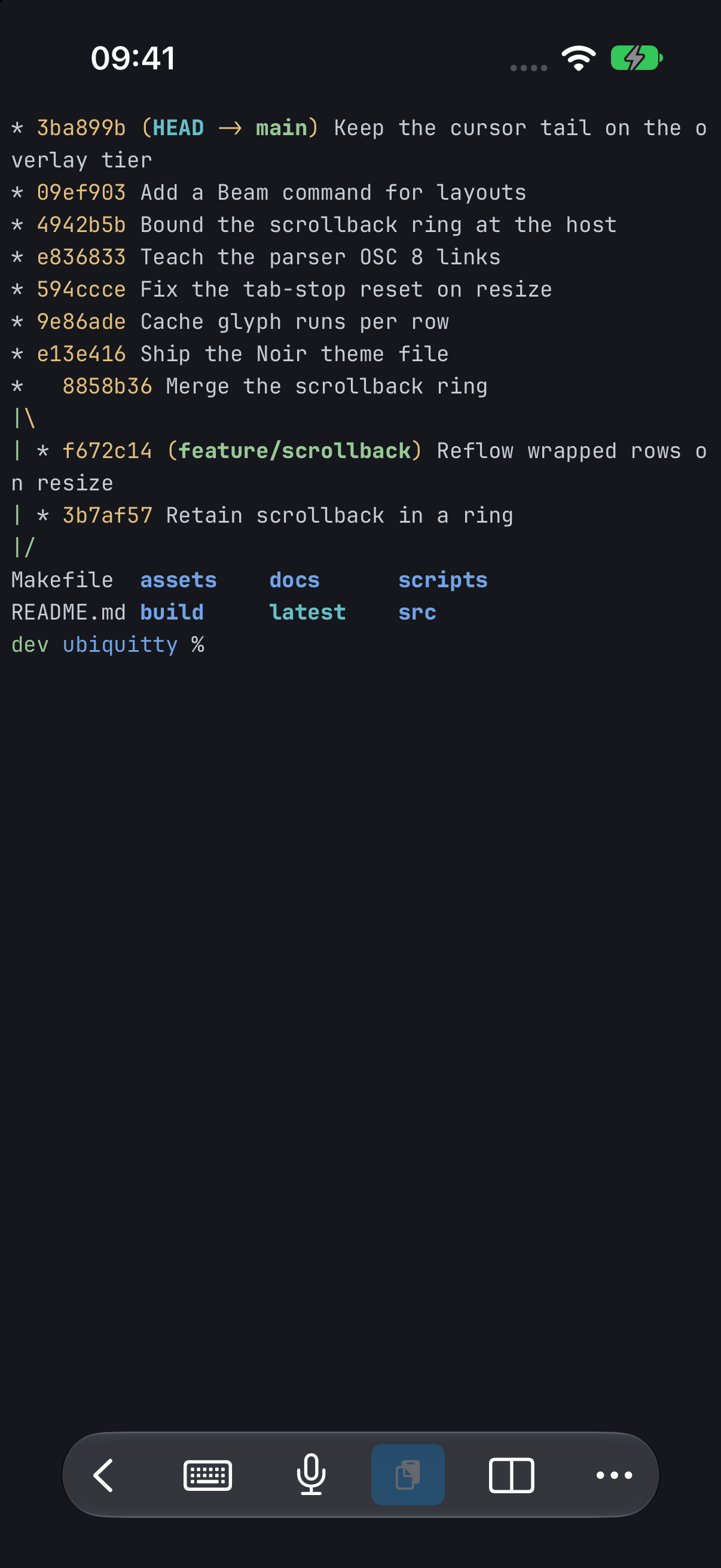 A full-screen iPhone terminal attached to a host session: a coloured git commit graph and a directory listing at a dev prompt, with the app's toolbar along the bottom for back, keyboard, dictation, files, split and more.